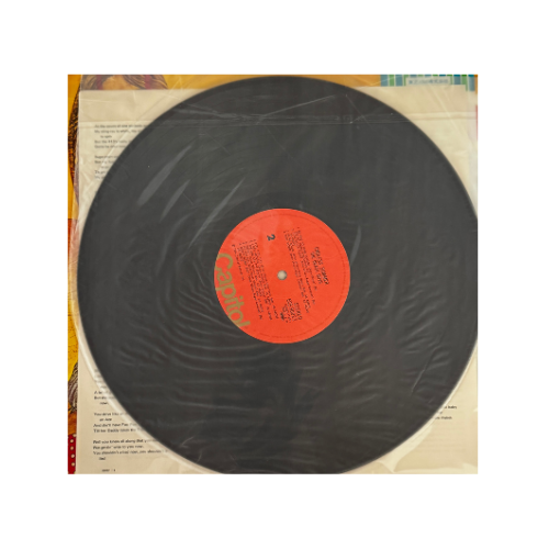 Endless Summer (2xLP Standard Black Vinyl)