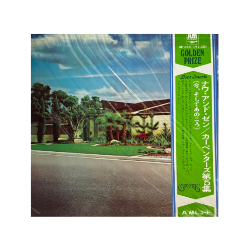 Now & Then (Standard Black Vinyl)