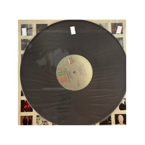 Please (Standard Black Vinyl)