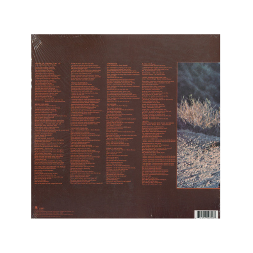 Talking Book (Limited Edition Randomly Colored Vinyl)