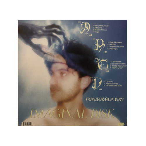 Imaginal Disk (2xLP Standard Black Vinyl)