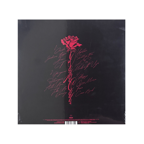 Vie (2xLP Standard Black Vinyl)