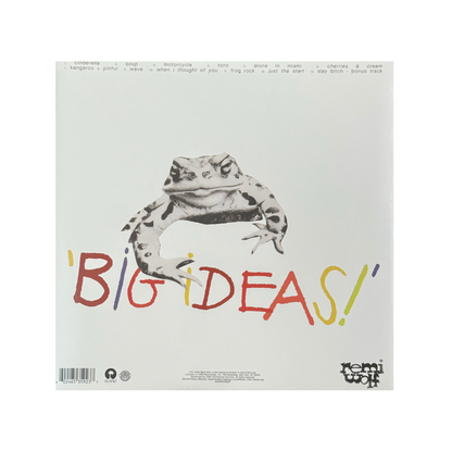 Big Ideas (Standard Black Vinyl)