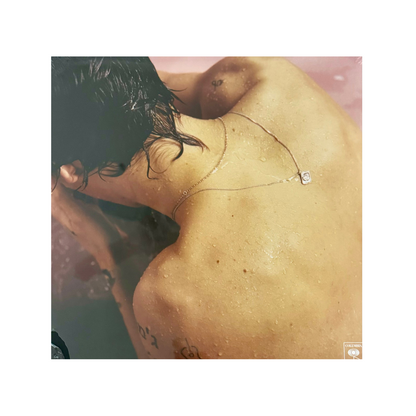 Harry Styles (Standard Black Vinyl)