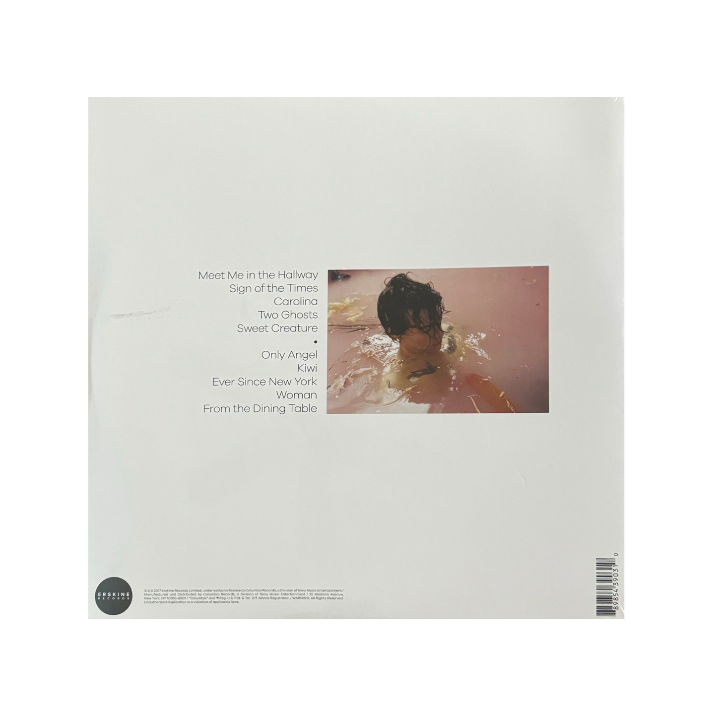 Harry Styles (Standard Black Vinyl)