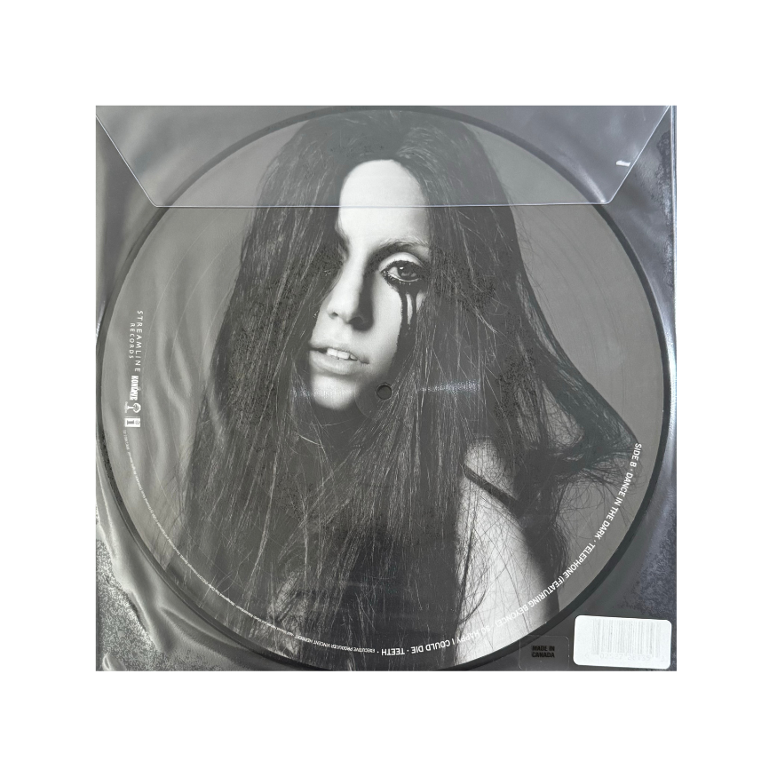 The Fame Monster (Limited Edition Picture Disc Vinyl)