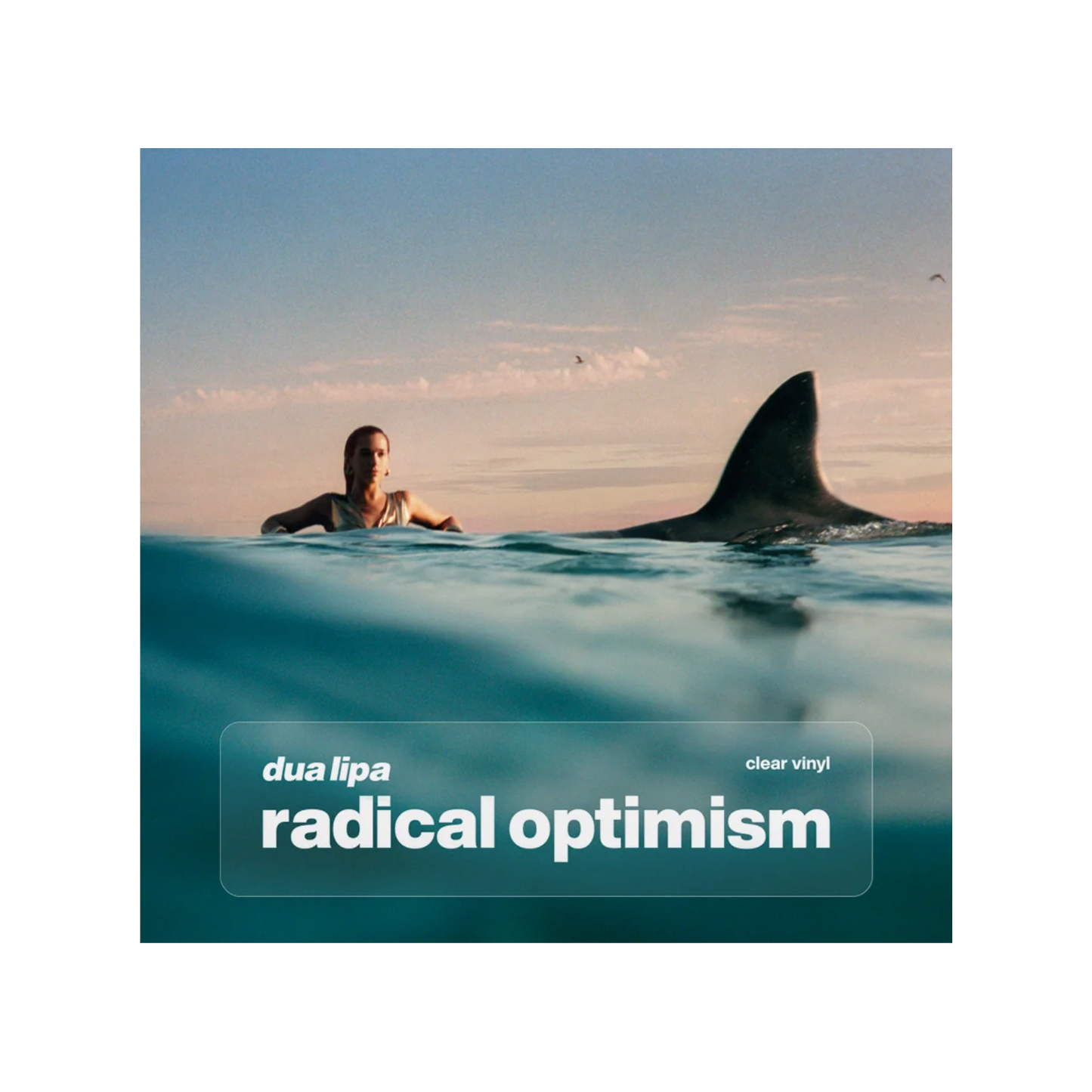 Radical Optimism (Crystal Clear Vinyl)