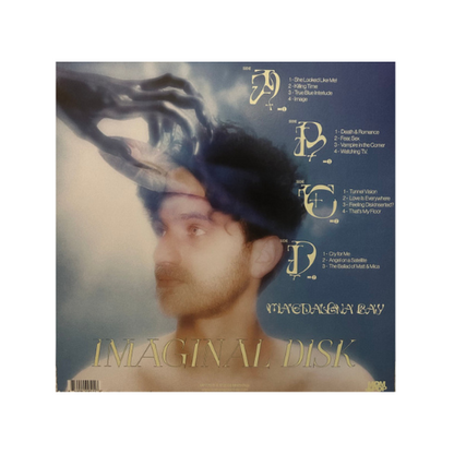 Imaginal Disk (2xLP Standard Black Vinyl)