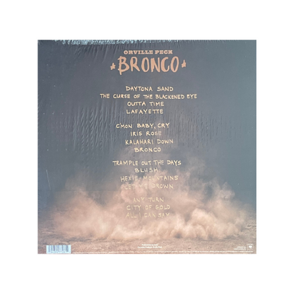 Bronco (Standard Black Vinyl)